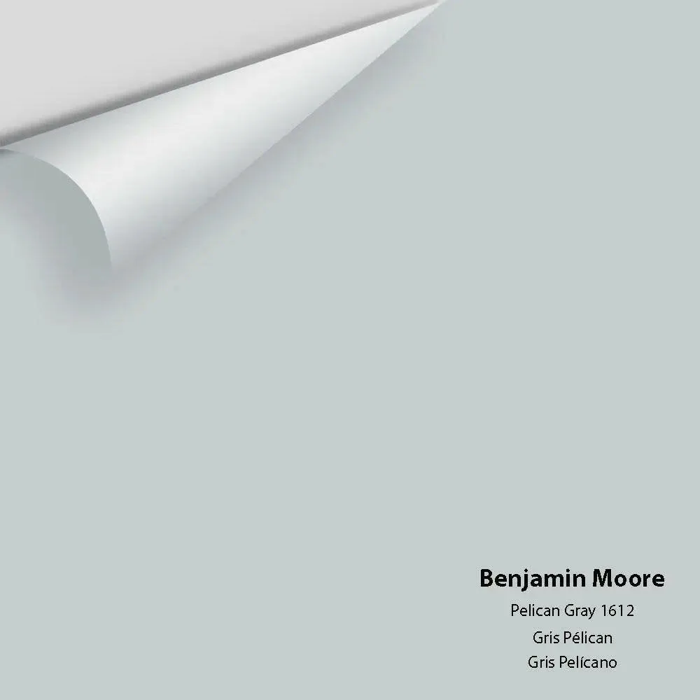 Benjamin Moore - Pelican Gray 1612 Colour Sample