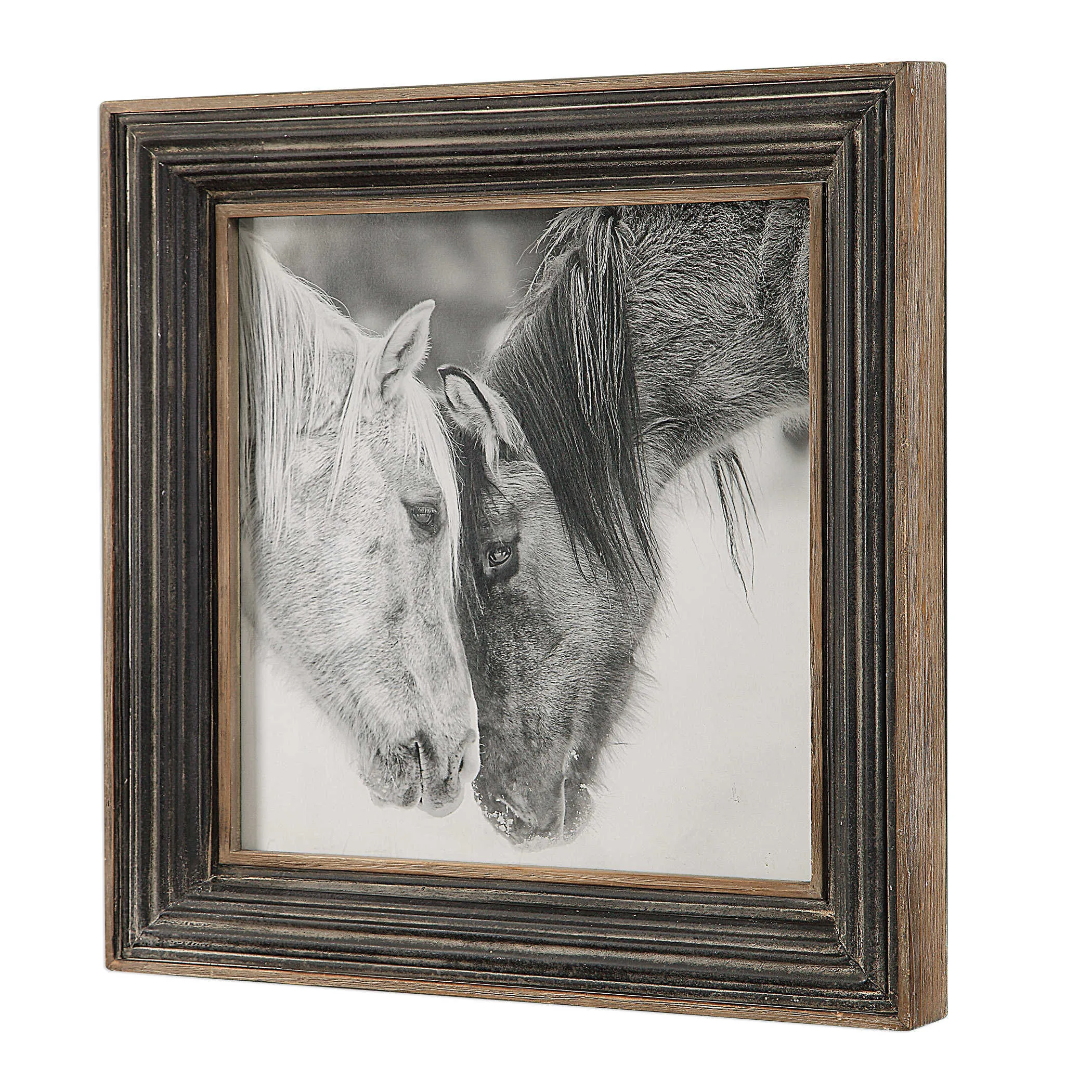 Black and White Horse Printed Photograph