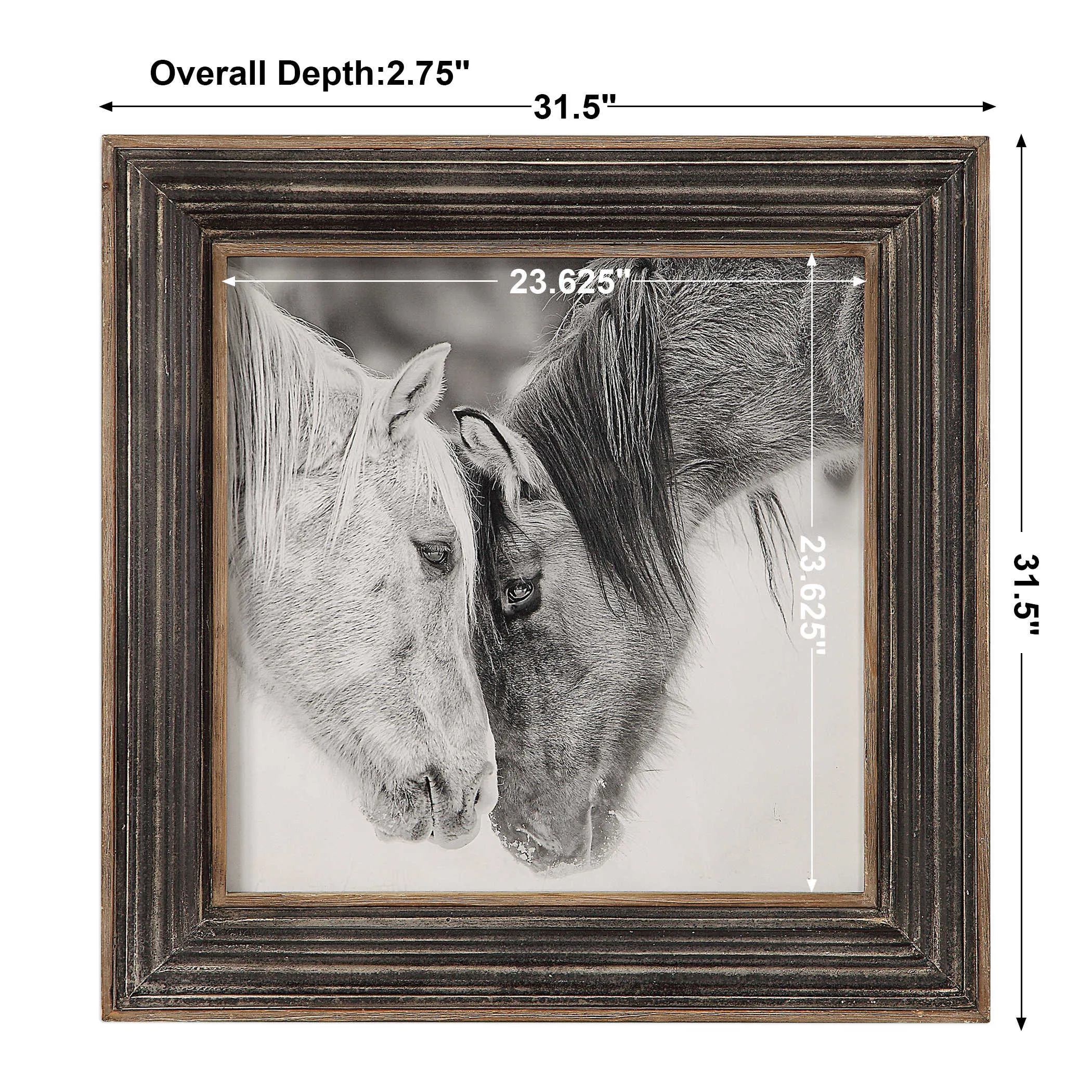 Black and White Horse Printed Photograph