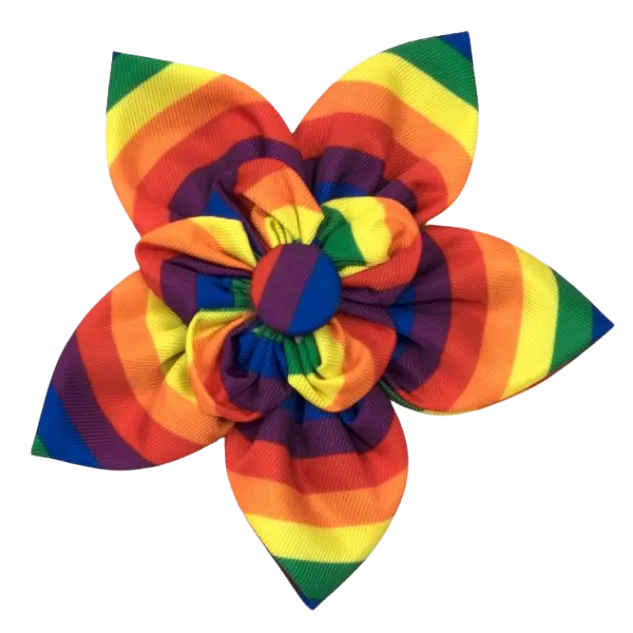 Collar Flower | Rainbow