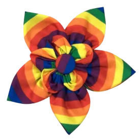 Collar Flower | Rainbow