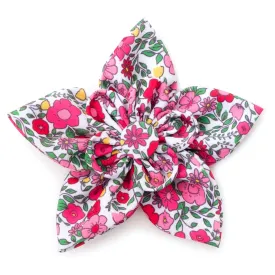 Collar Flower | Spring Garden