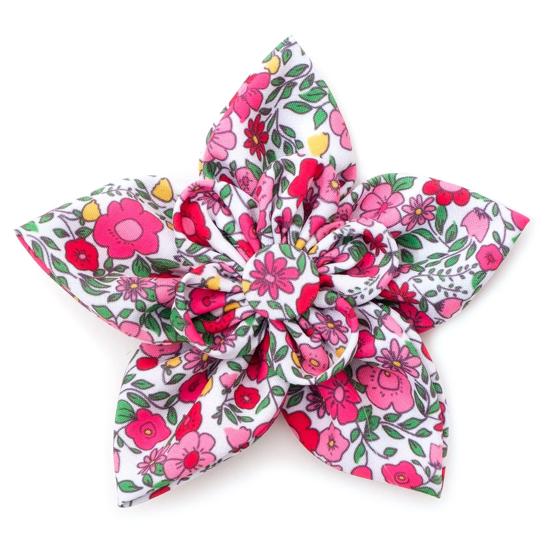 Collar Flower | Spring Garden