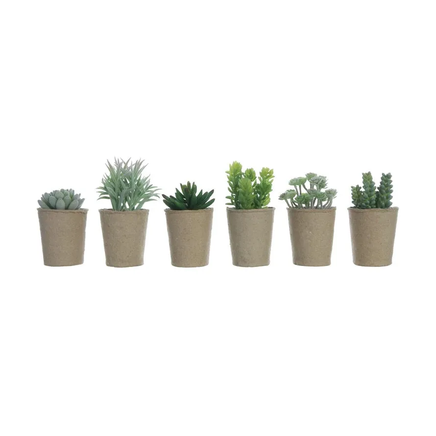 Faux Succulent in Pot: Assorted Styles