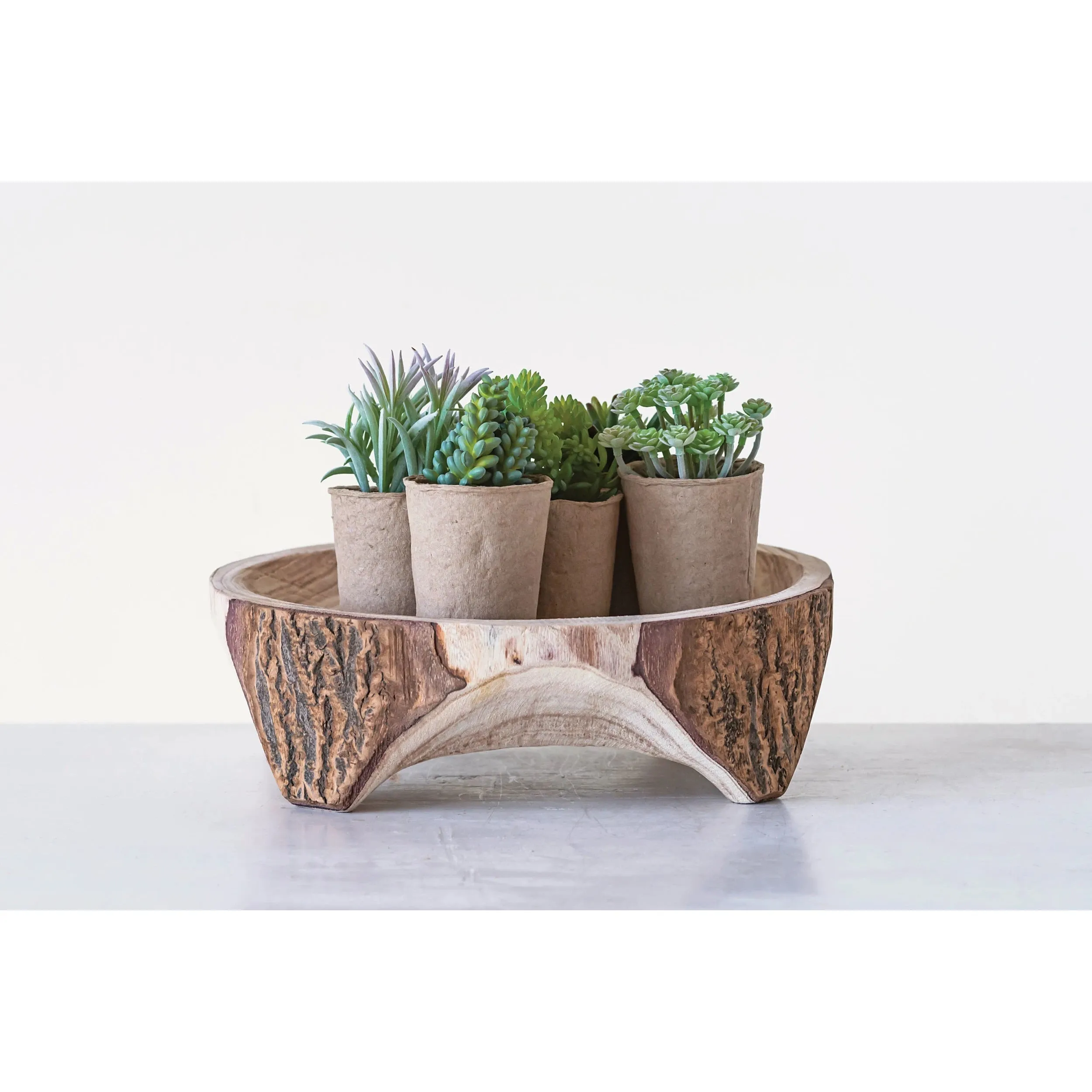 Faux Succulent in Pot: Assorted Styles