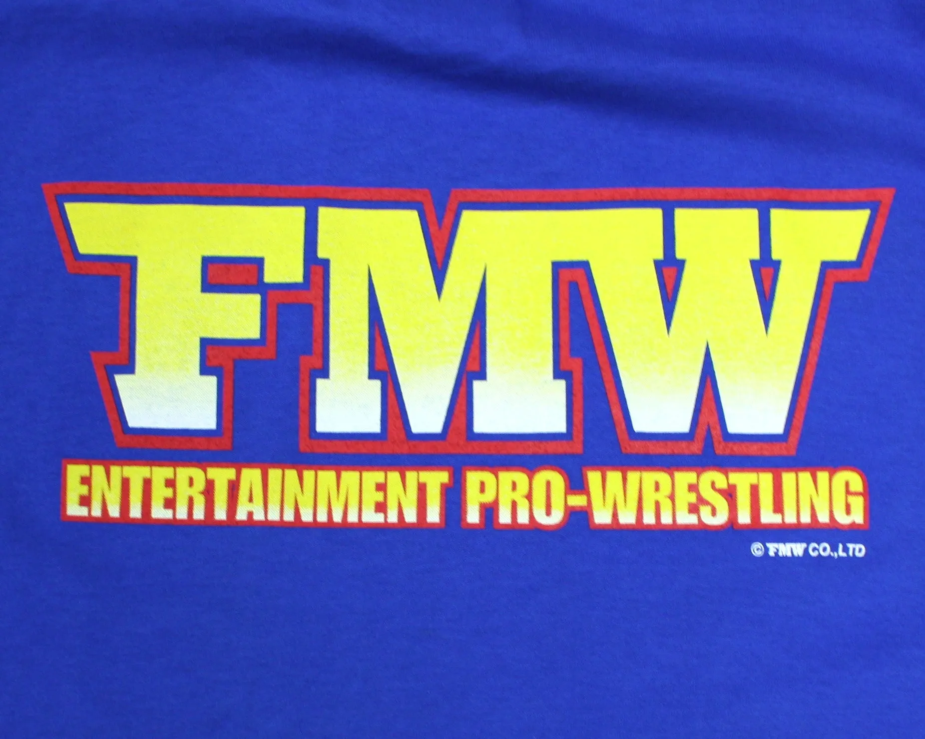 FMW BLUE T-SHIRT LG