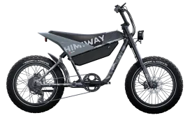 Himiway C5 Electric Bike