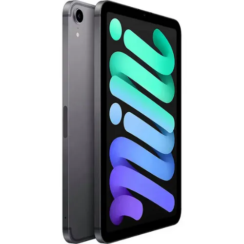 iPad Mini 6 256GB Space Gray (Cellular   Wifi)