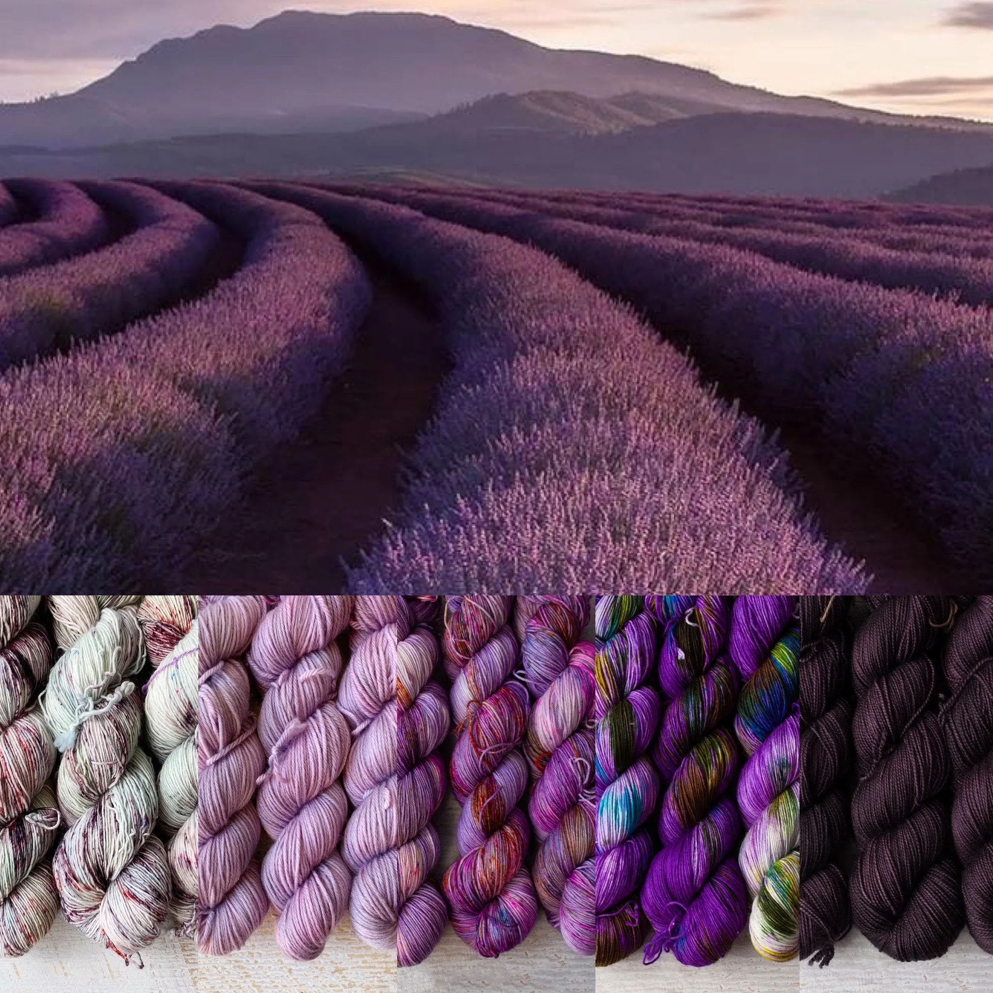 Lavender Field - Gradient Set