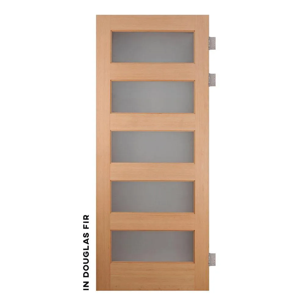 Modern Five Panel Horizontal Swinging Interior Glass Door