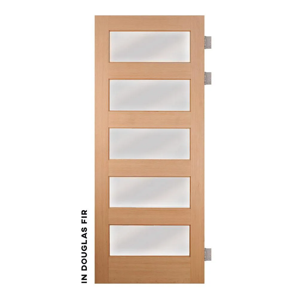 Modern Five Panel Horizontal Swinging Interior Glass Door