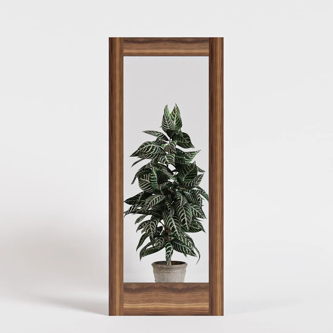 Modern Single Panel Swinging Interior Glass Door
