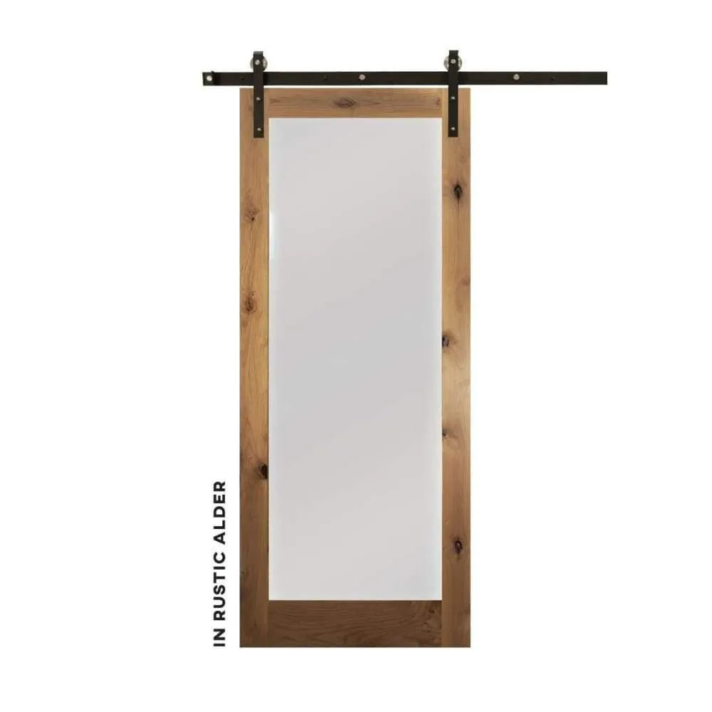 Modern Single Panel Swinging Interior Glass Door