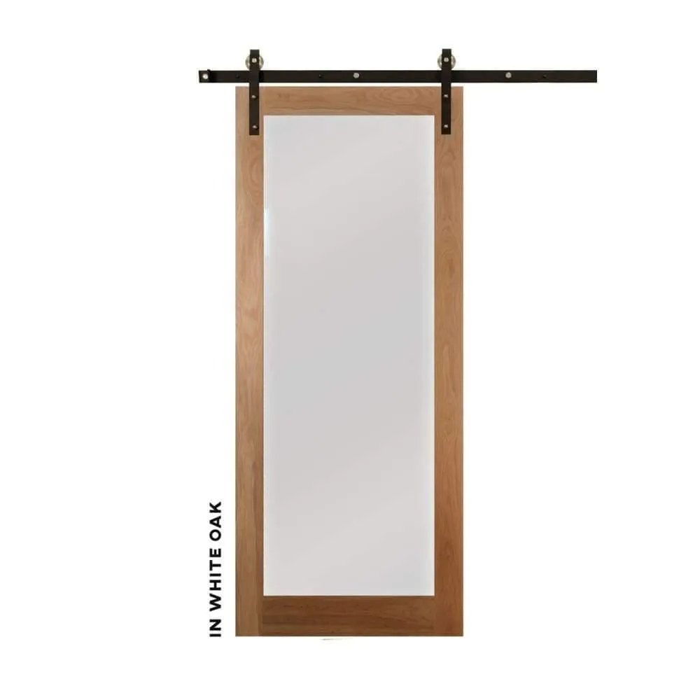Modern Single Panel Swinging Interior Glass Door