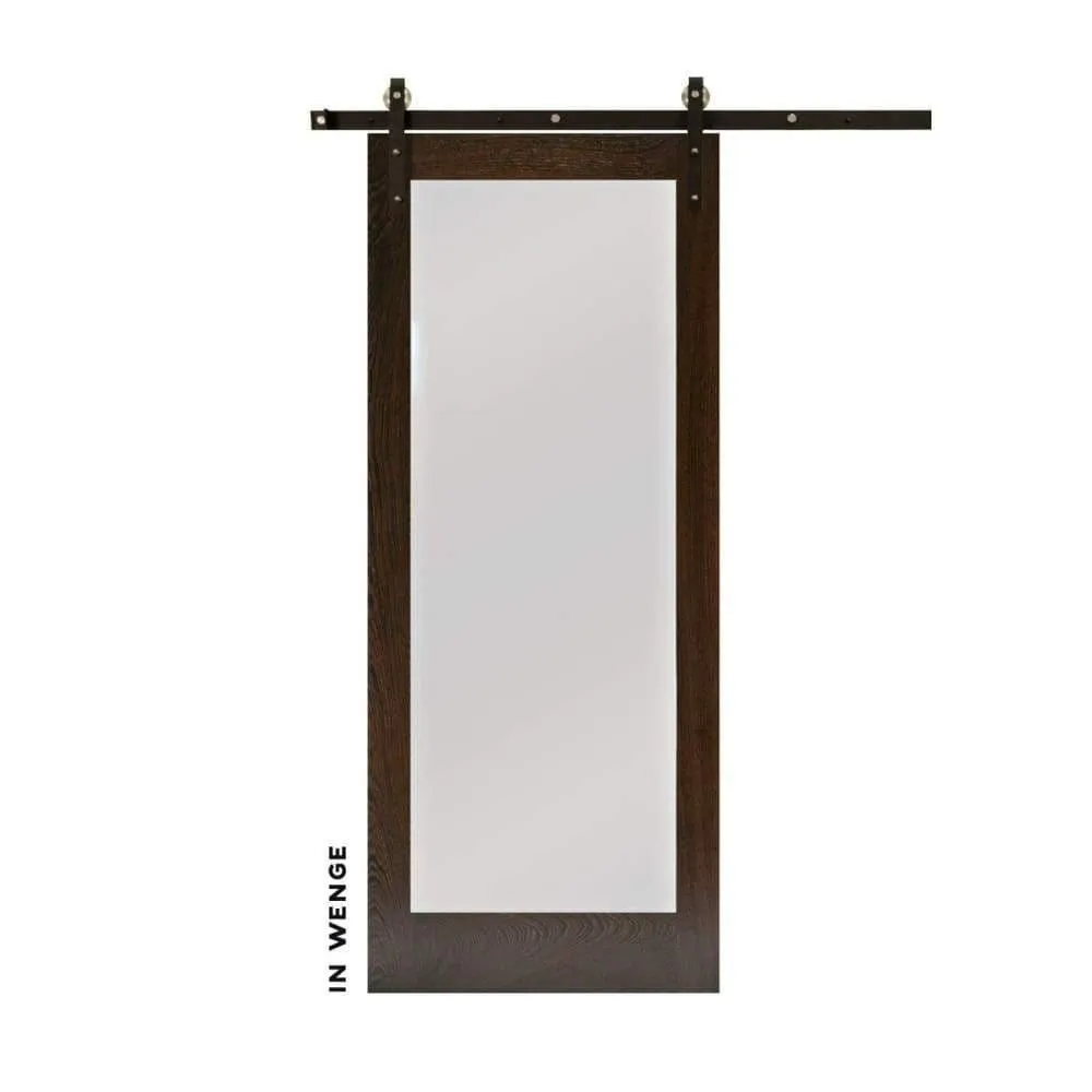 Modern Single Panel Swinging Interior Glass Door
