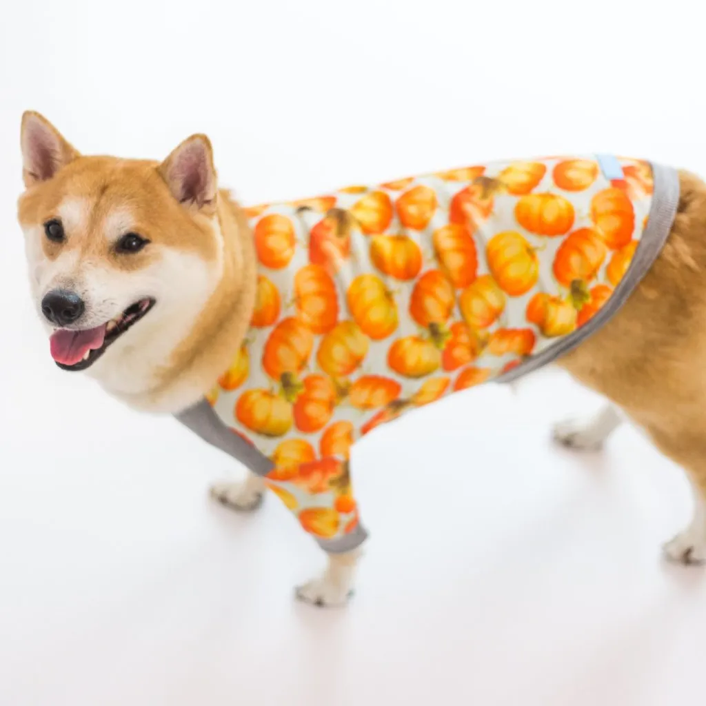 Pumpkin